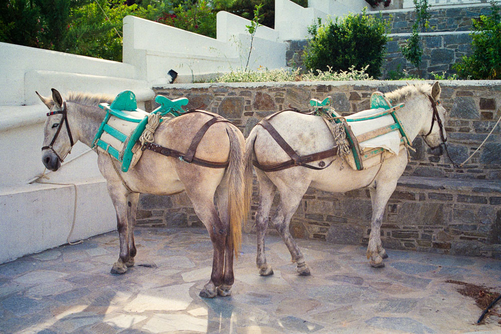 A photograph by Ali Bosworth titled 20080605_10_09 in the project Serifos