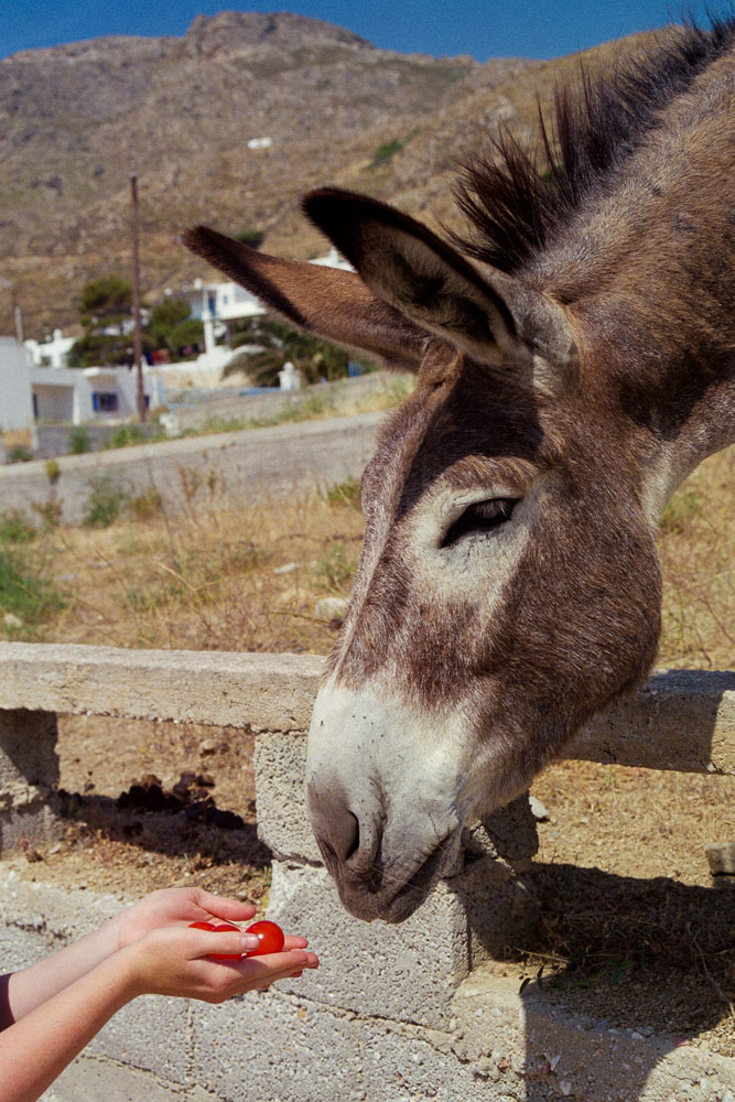 A photograph by Ali Bosworth titled 20080605_12_07 in the project Serifos