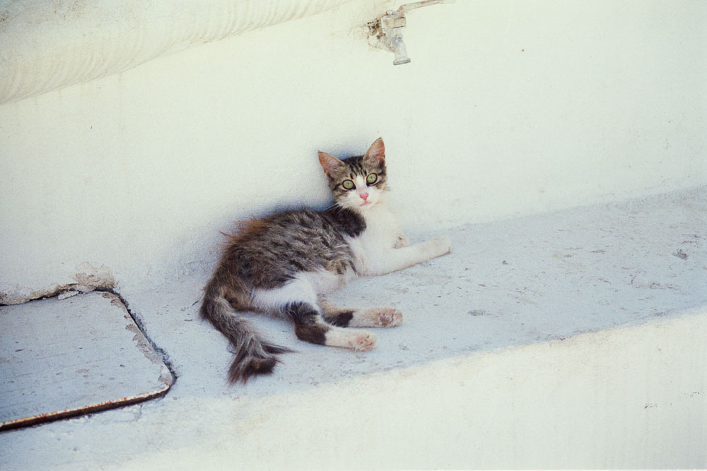 A photograph by Ali Bosworth titled 20080620_05_37 in the project Serifos