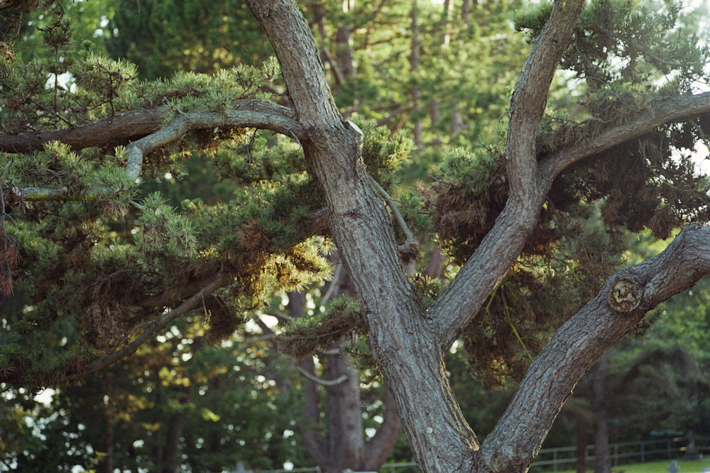A photograph by Ali Bosworth titled 20090920_03_20_rescan in the project Fall 2009