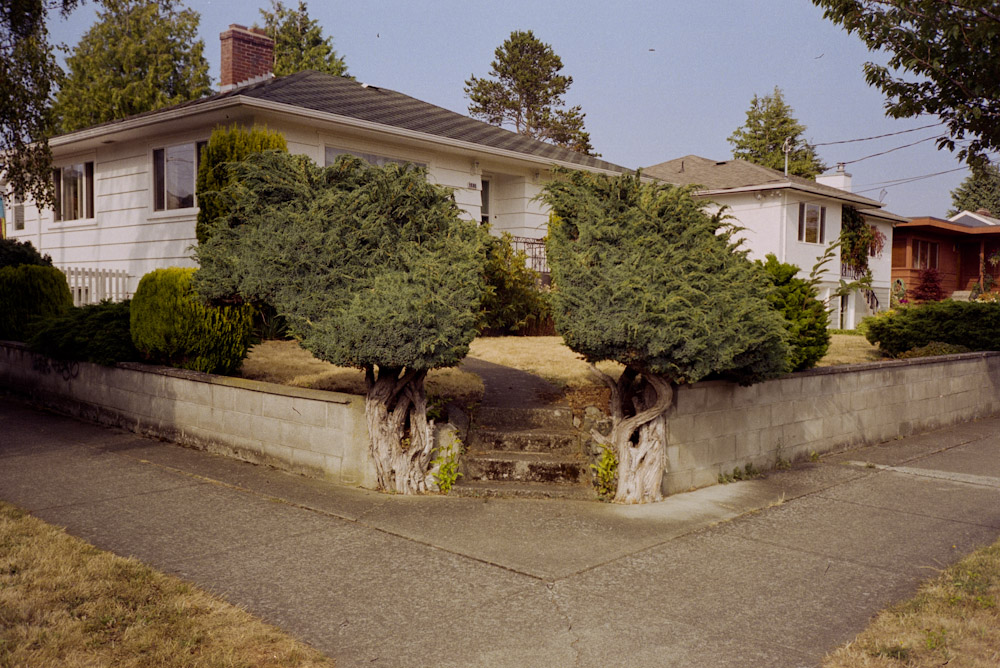 A photograph by Ali Bosworth titled 20091102_01_01 in the project Fall 2009