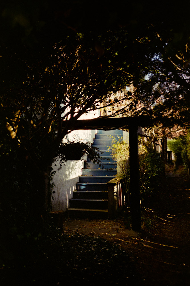 A photograph by Ali Bosworth titled 20091201_05_19_rescan in the project Fall 2009