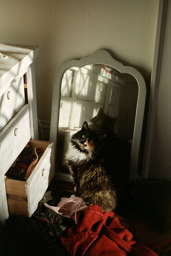 A photograph by Ali Bosworth titled 20110117_01_27 in the project Spring 2011