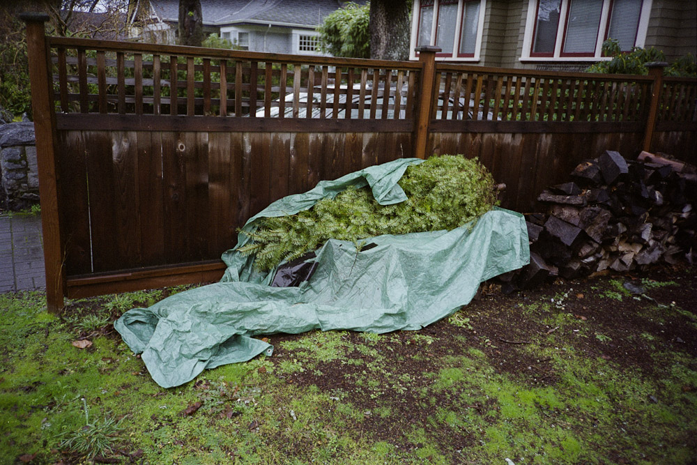 A photograph by Ali Bosworth titled 20110117_03_25_rescan in the project Spring 2011