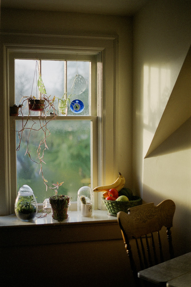 A photograph by Ali Bosworth titled 20110120_01_16_rescan in the project Spring 2011
