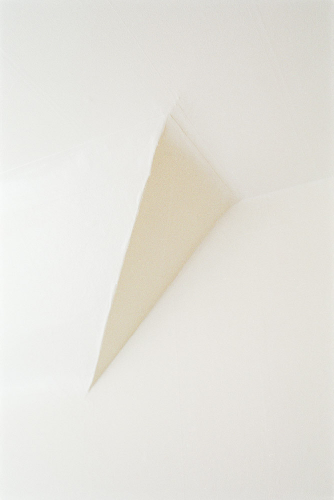 A photograph by Ali Bosworth titled 20110606_01_05_rescan2 in the project Spring 2011